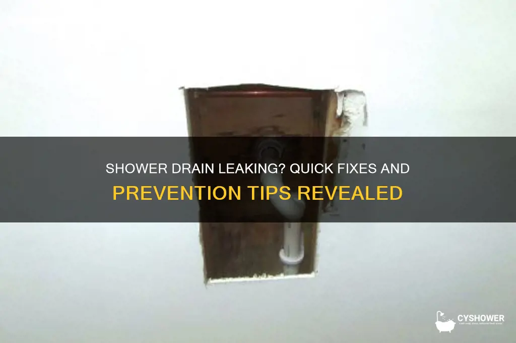 what if my shower drain is leaking