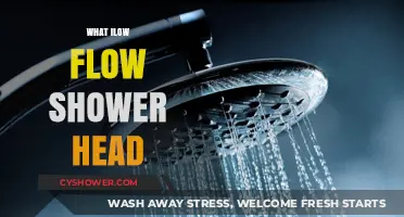 Efficient Water-Saving: Understanding the Benefits of Low Flow Shower Heads