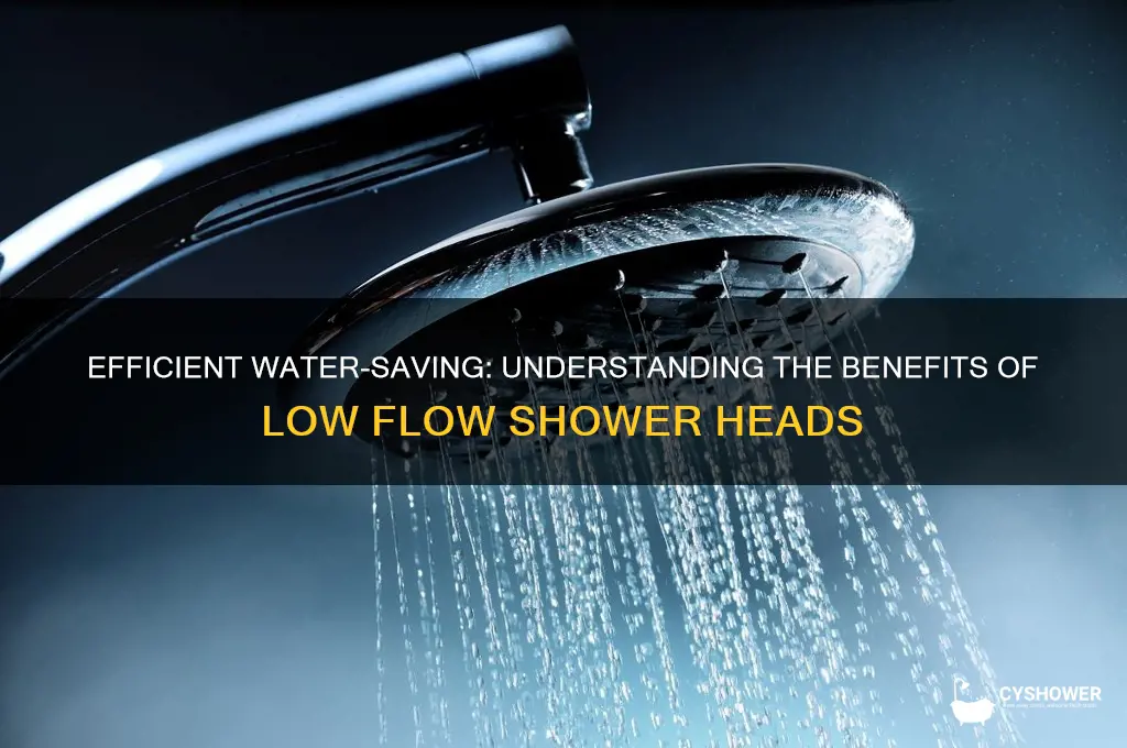 what ilow flow shower head