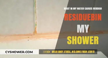 Reddish Residue in Shower: Uncovering the Culprits in Your Water