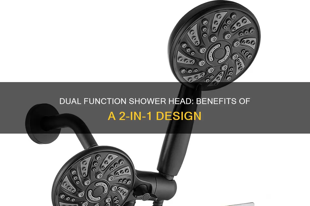 what is a 2 in 1 shower head
