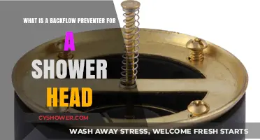 Understanding Shower Head Backflow Preventers: Function, Importance, and Installation Tips
