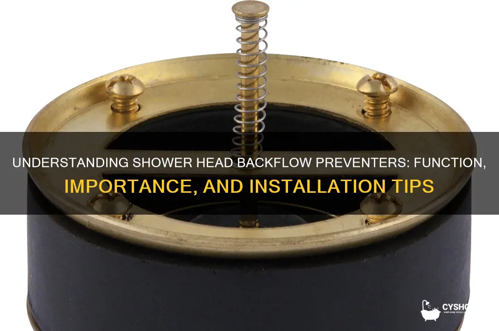 what is a backflow preventer for a shower head
