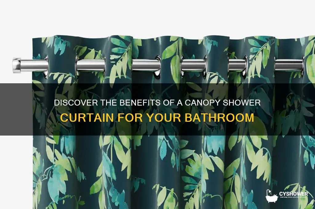 what is a canopy shower curtain