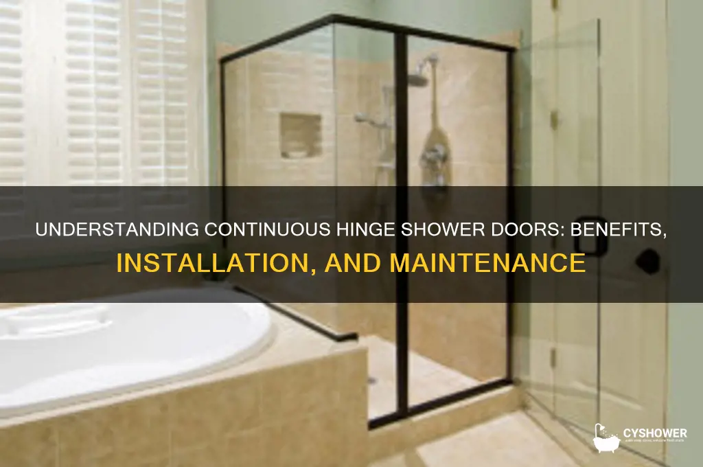 what is a continuous hinge shower door