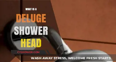 Discover the Ultimate Shower Experience: What is a Deluge Shower Head?