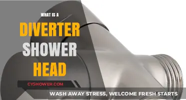 Understanding the Benefits of a Diverter Shower Head for Your Bathroom