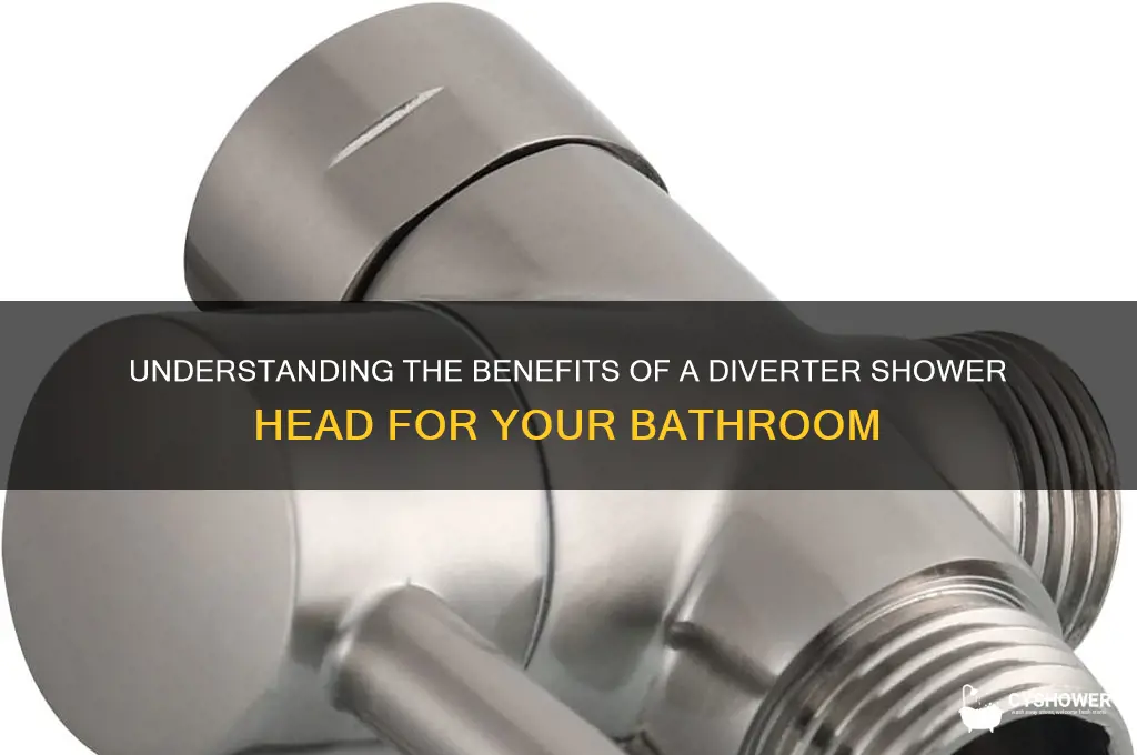 what is a diverter shower head