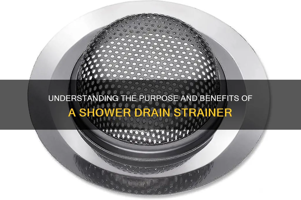 what is a drain strainer in a shower