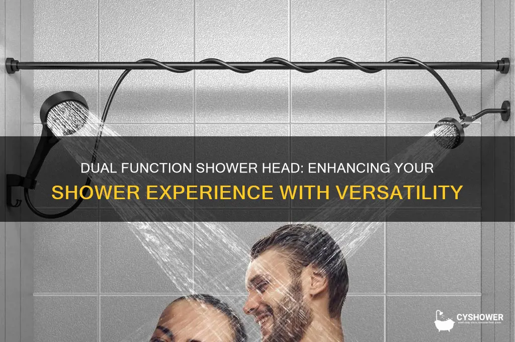 what is a dual function shower head