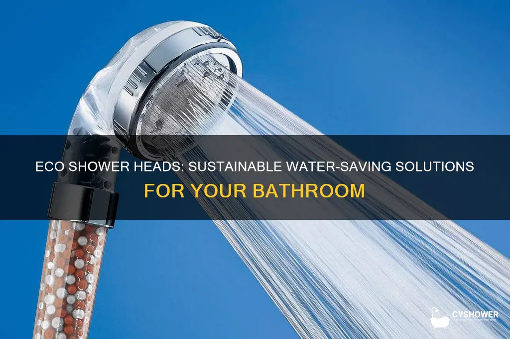 what is a eco shower head