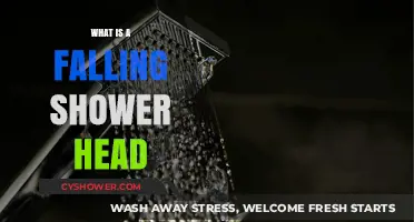 Understanding the Unique Design and Benefits of Falling Shower Heads