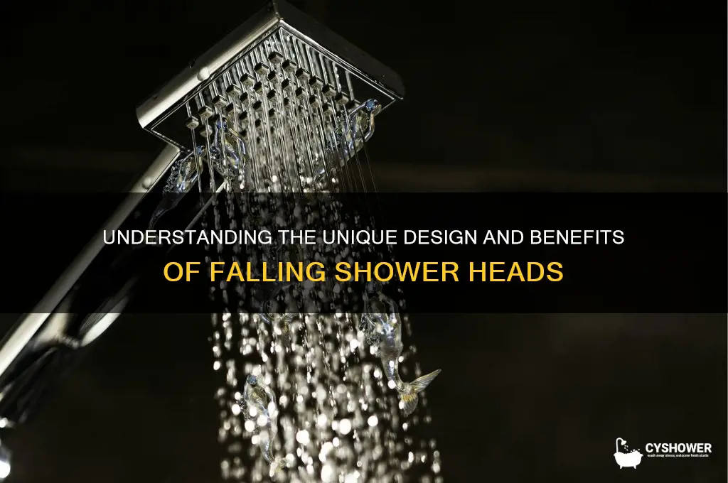what is a falling shower head