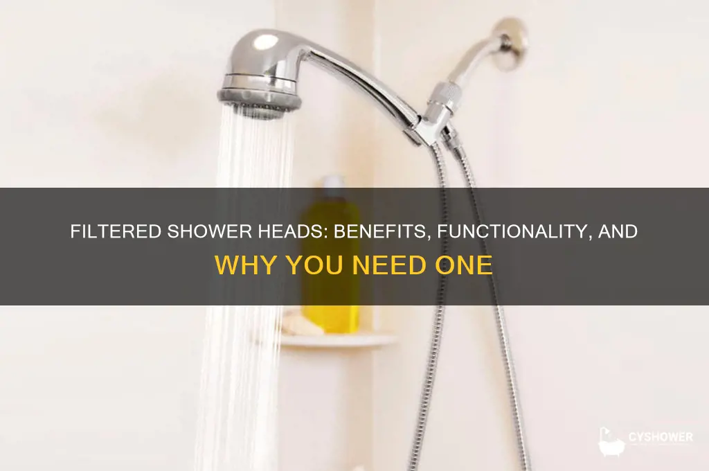 what is a filtered shower head