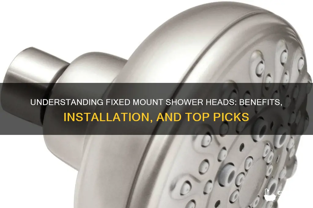 what is a fixed mount shower head