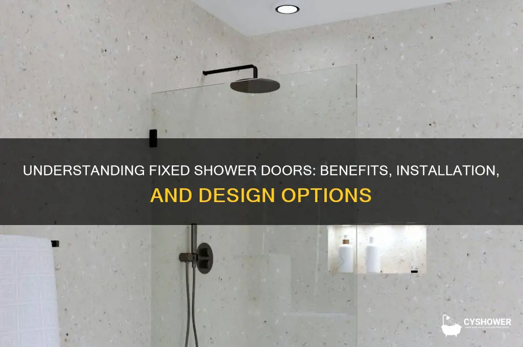 what is a fixed shower door