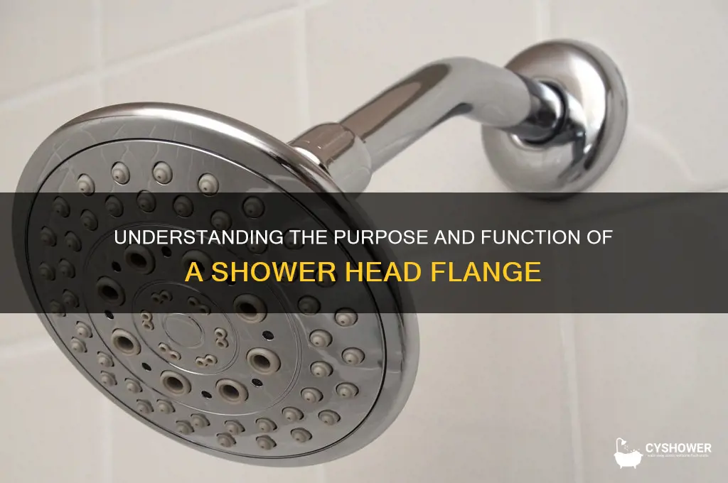 what is a flange on a shower head