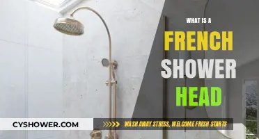 Discover the Unique Design and Benefits of a French Shower Head