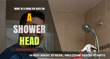 Optimal Shower Experience: Understanding the Ideal Flow Rate for Shower Heads