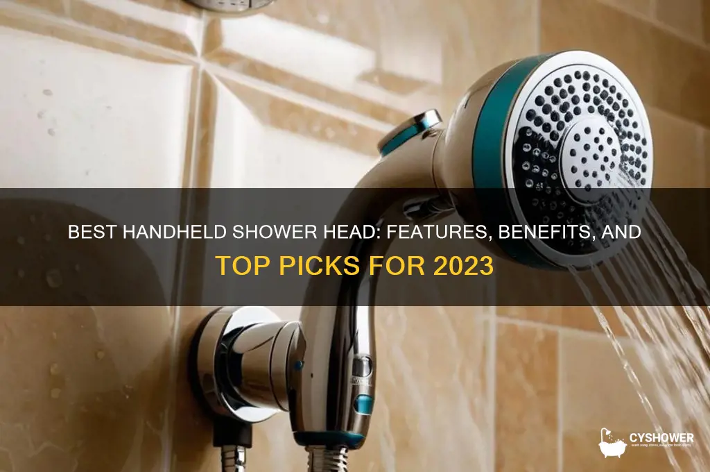 what is a good handheld shower head