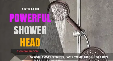 Best Powerful Shower Heads: Transform Your Bathing Experience Instantly