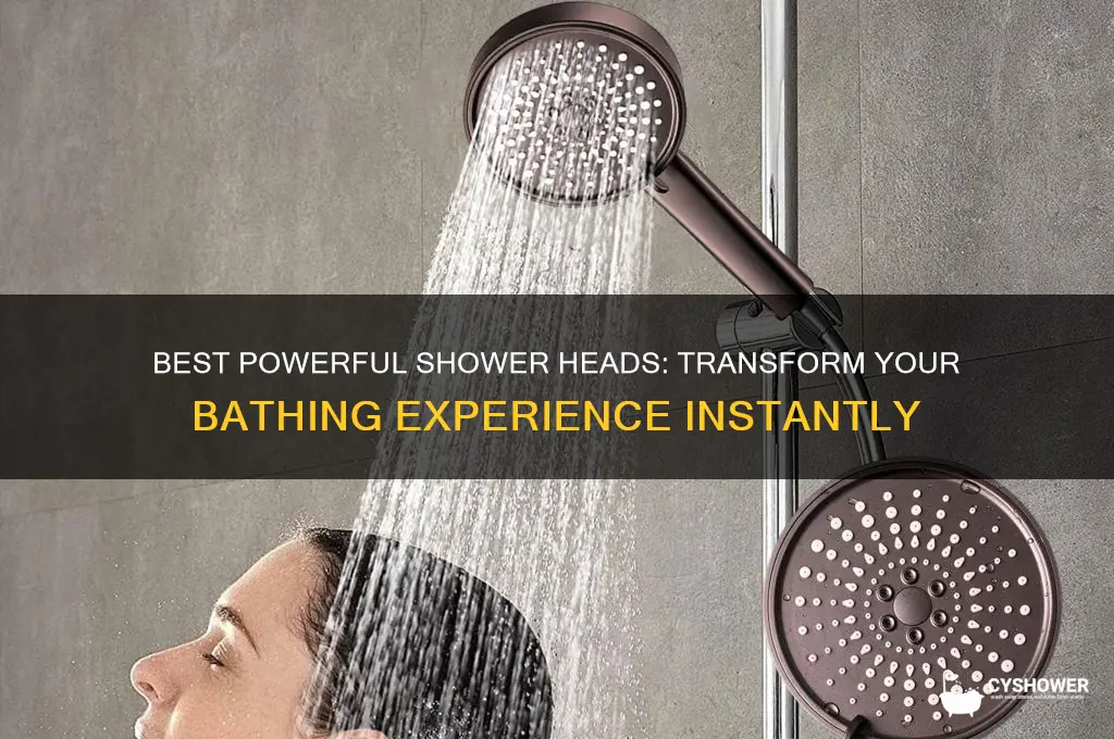 what is a good powerful shower head