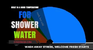Perfect Shower Temperature: Finding the Ideal Balance for Comfort and Safety