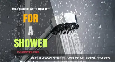 Optimal Shower Experience: Understanding the Perfect Water Flow Rate