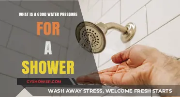 Optimal Shower Experience: Finding the Perfect Water Pressure Balance