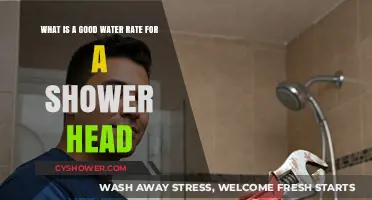 Optimal Shower Head Water Rate: Finding the Perfect Balance for Efficiency