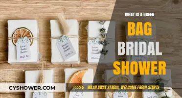 Eco-Friendly Celebrations: Understanding the Green Bag Bridal Shower Concept