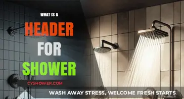 Understanding Shower Headers: Function, Types, and Installation Tips
