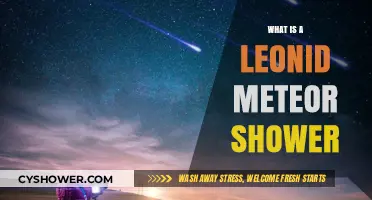 Leonid Meteor Shower: A Celestial Spectacle Explained Simply