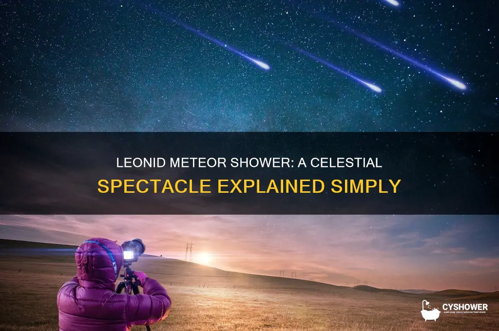 what is a leonid meteor shower