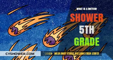 Shooting Stars Explained: Meteor Showers for Curious Kids