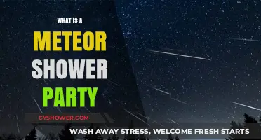 Stargazing Under Shooting Stars: Hosting a Meteor Shower Party