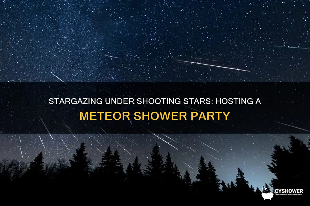 what is a meteor shower party