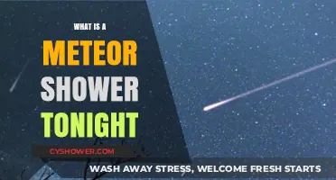 Tonight's Meteor Shower: A Celestial Spectacle Explained and Observed