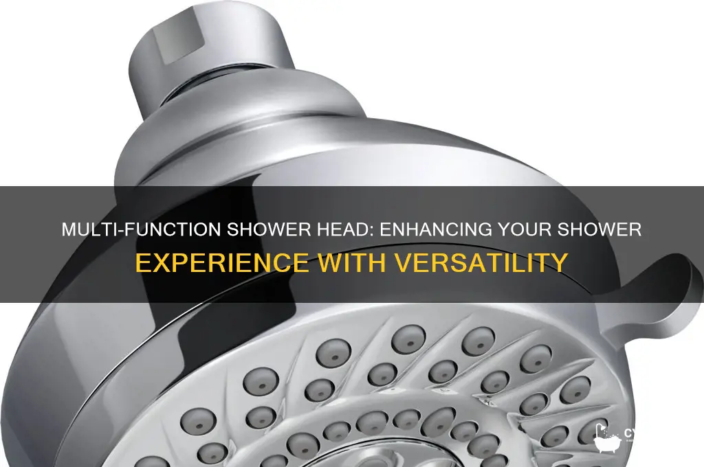 what is a multi function shower head