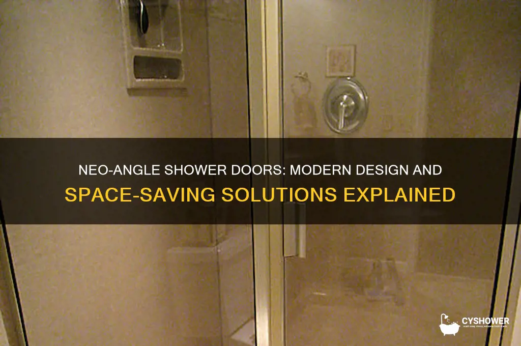 what is a neo-angle shower door