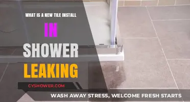 Why Your New Shower Tile Install is Leaking: Causes & Fixes
