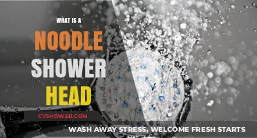 Noodle Shower Head: Innovative Design for a Relaxing Shower Experience