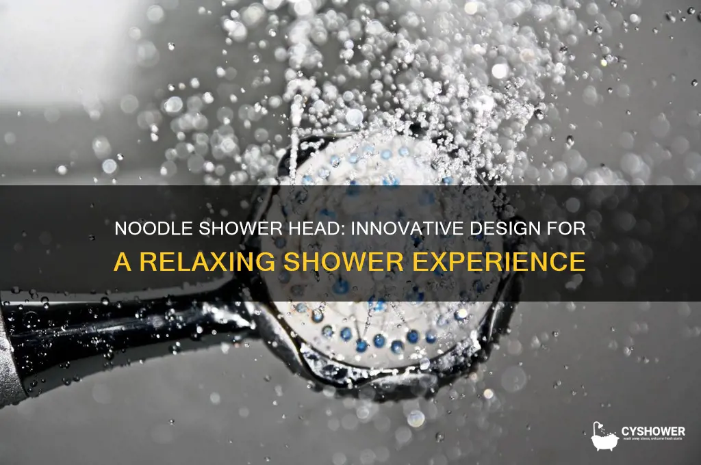 what is a noodle shower head
