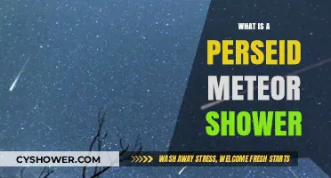 Perseid Meteor Shower: A Celestial Spectacle Explained for Skywatchers