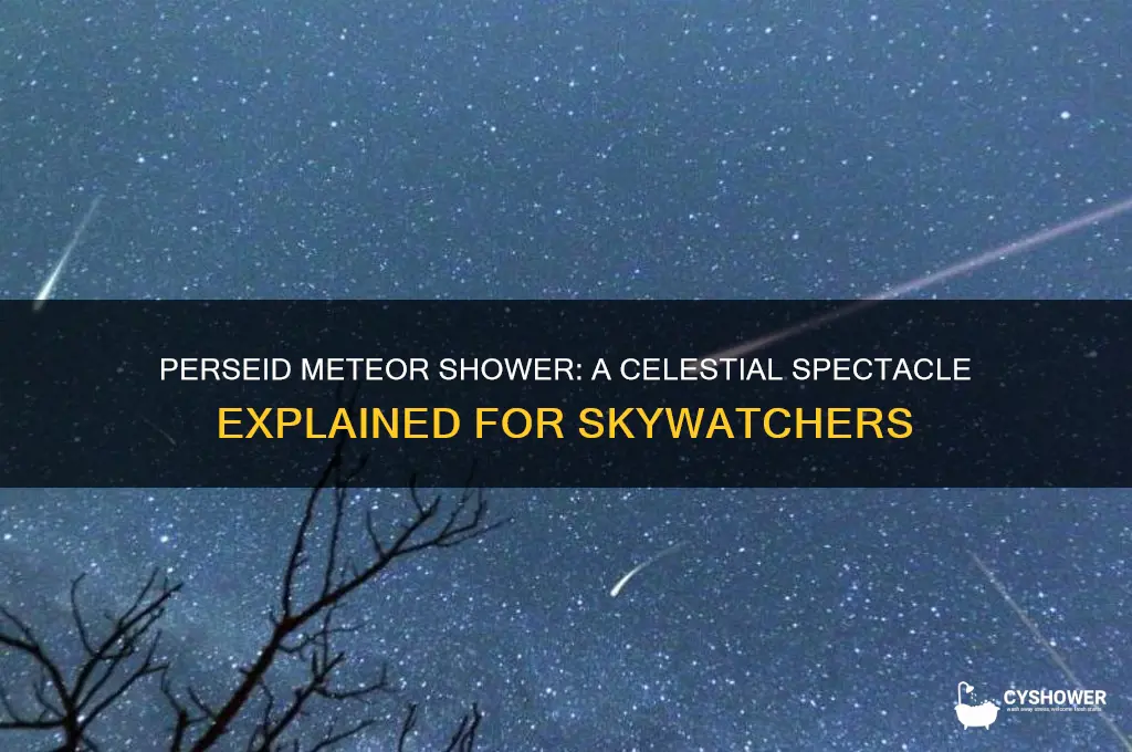 what is a perseid meteor shower