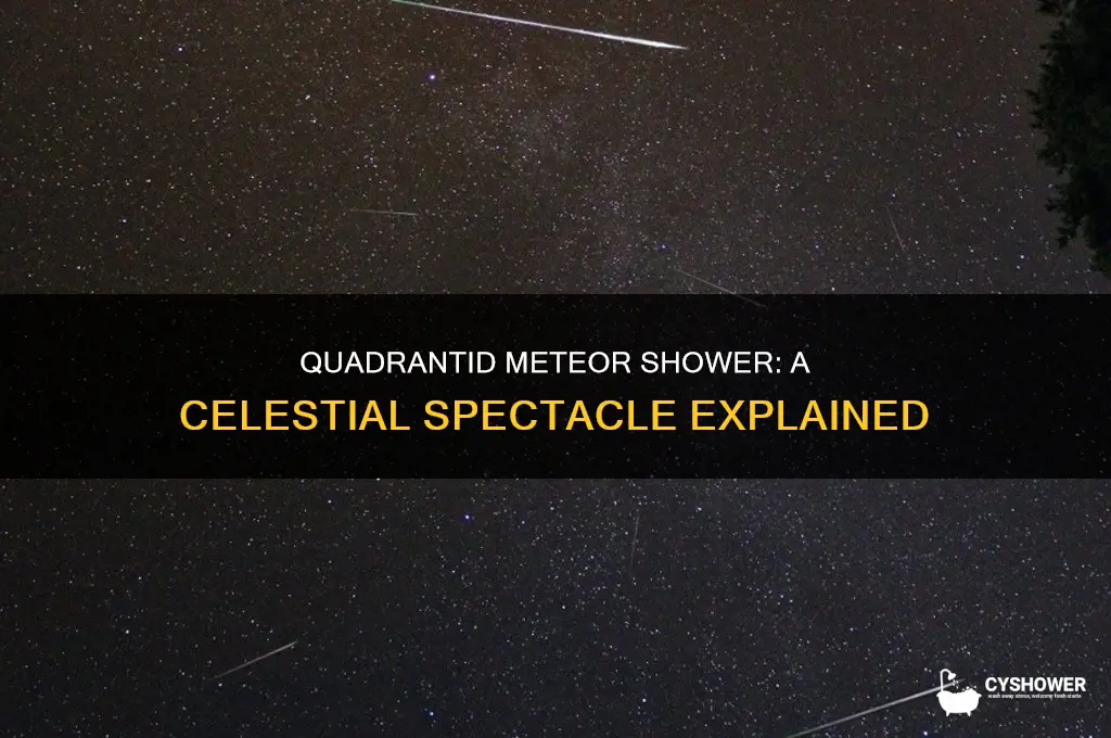 what is a quadrantid meteor shower