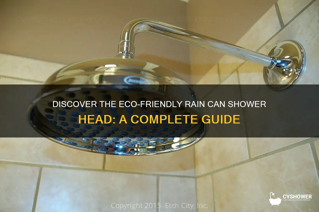 what is a rain can shower head