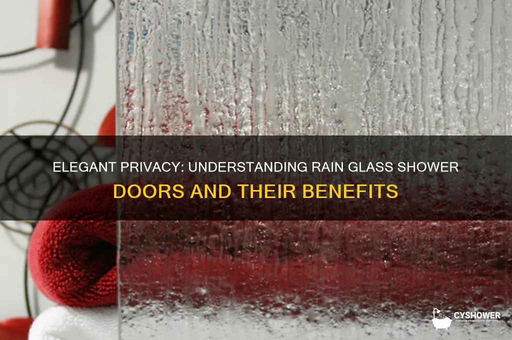 what is a rain glass shower door