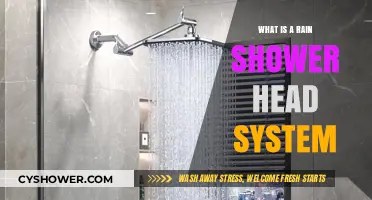 Discover the Luxury and Functionality of Rain Shower Head Systems