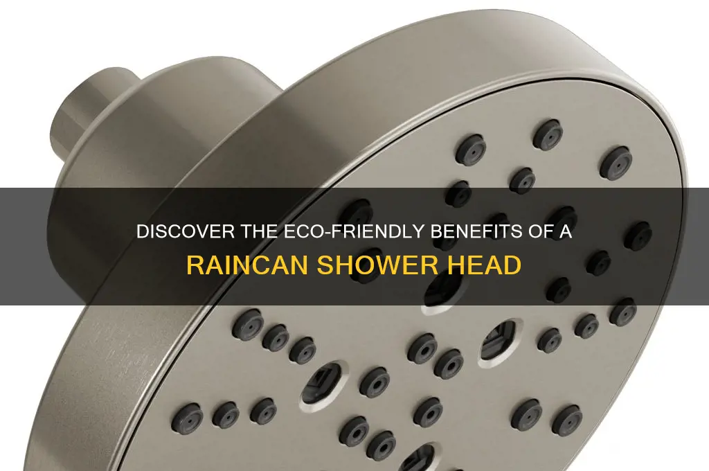 what is a raincan shower head